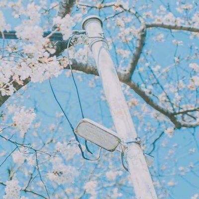 苹果扩大美国制造计划，新增四家合作伙伴